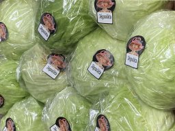 jegsalata
