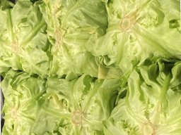 salata
